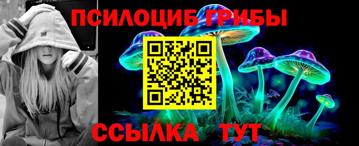 Галлюциногенные грибы Cubensis Ивантеевка